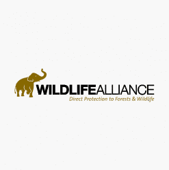 Wildlife Alliance, Inc.